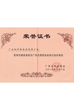 广西太阳能协会执行会长