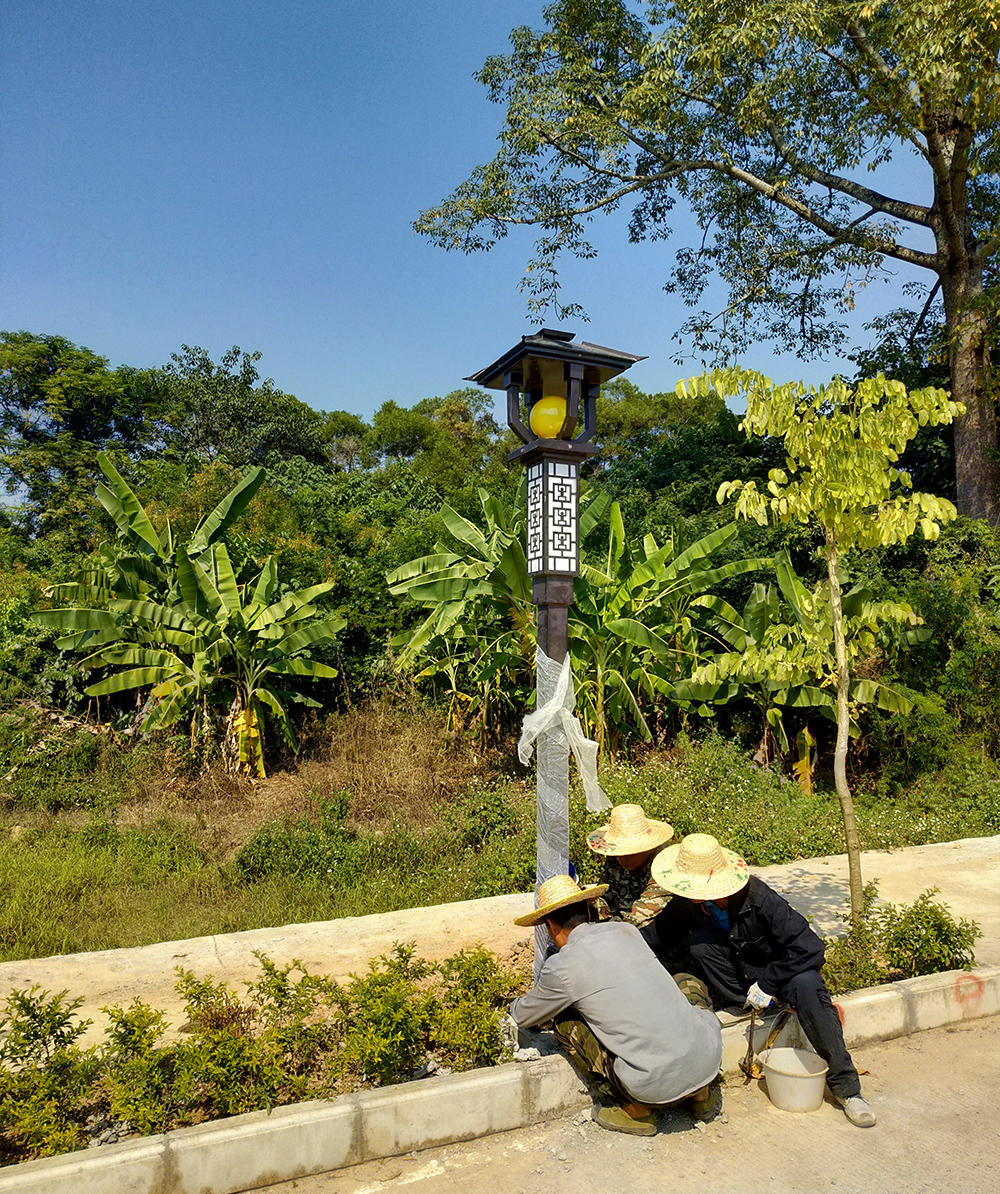 宁明花山路灯工程案例(图7)