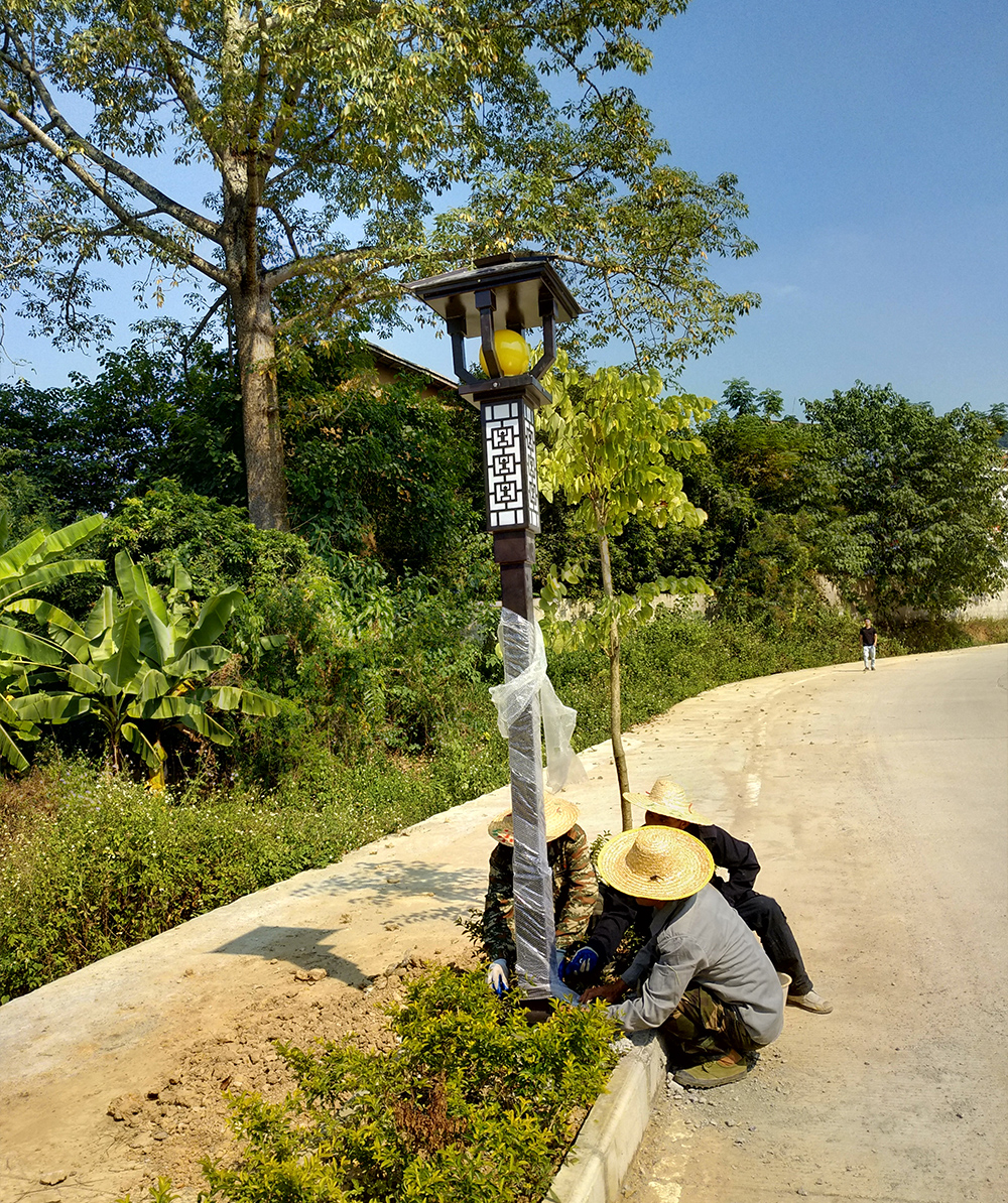 宁明花山路灯工程案例(图6)