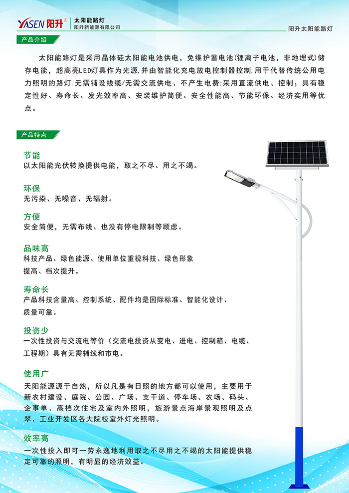 Solar Street Light(图1)