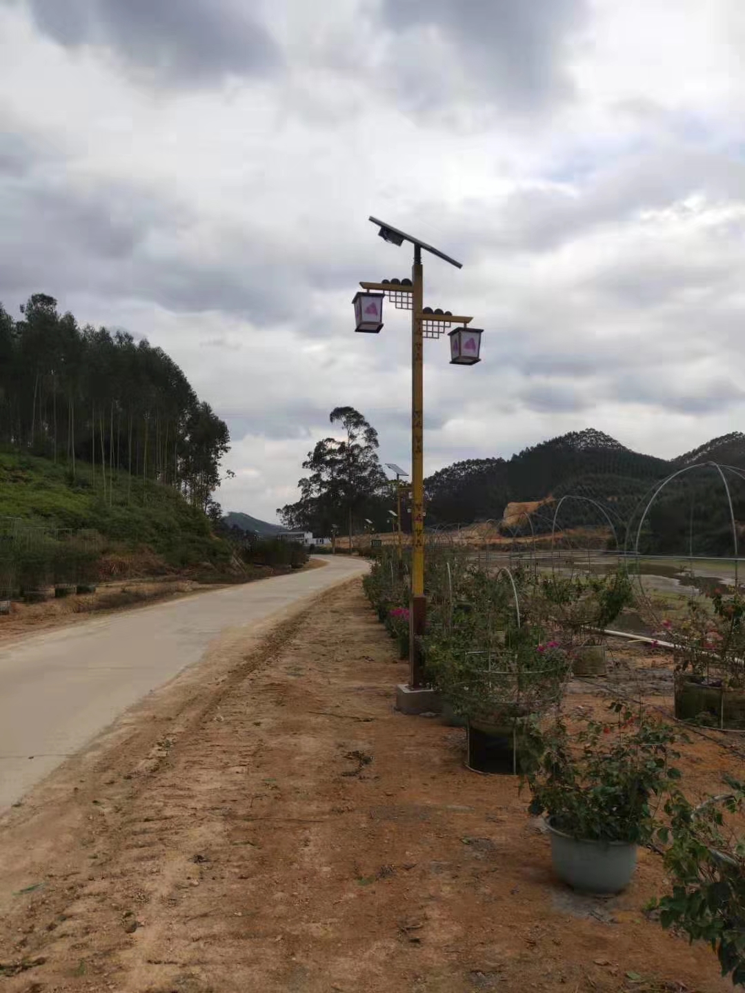 Double lamps solar landscape street light(图2)