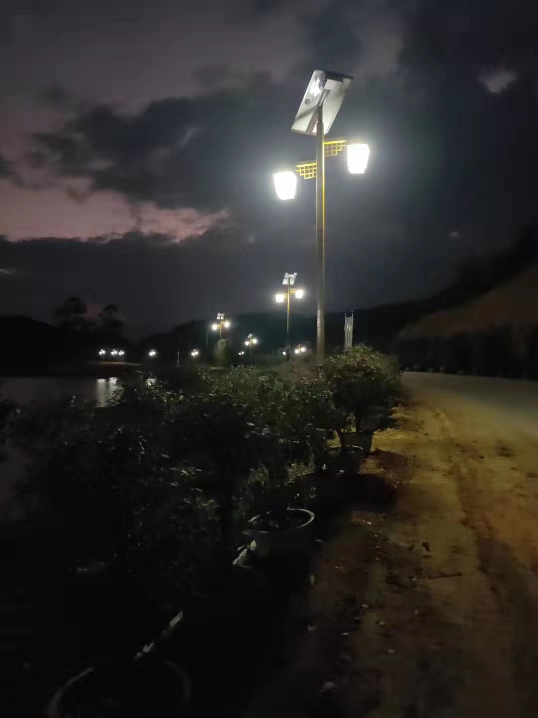 Double lamps solar landscape street light(图8)