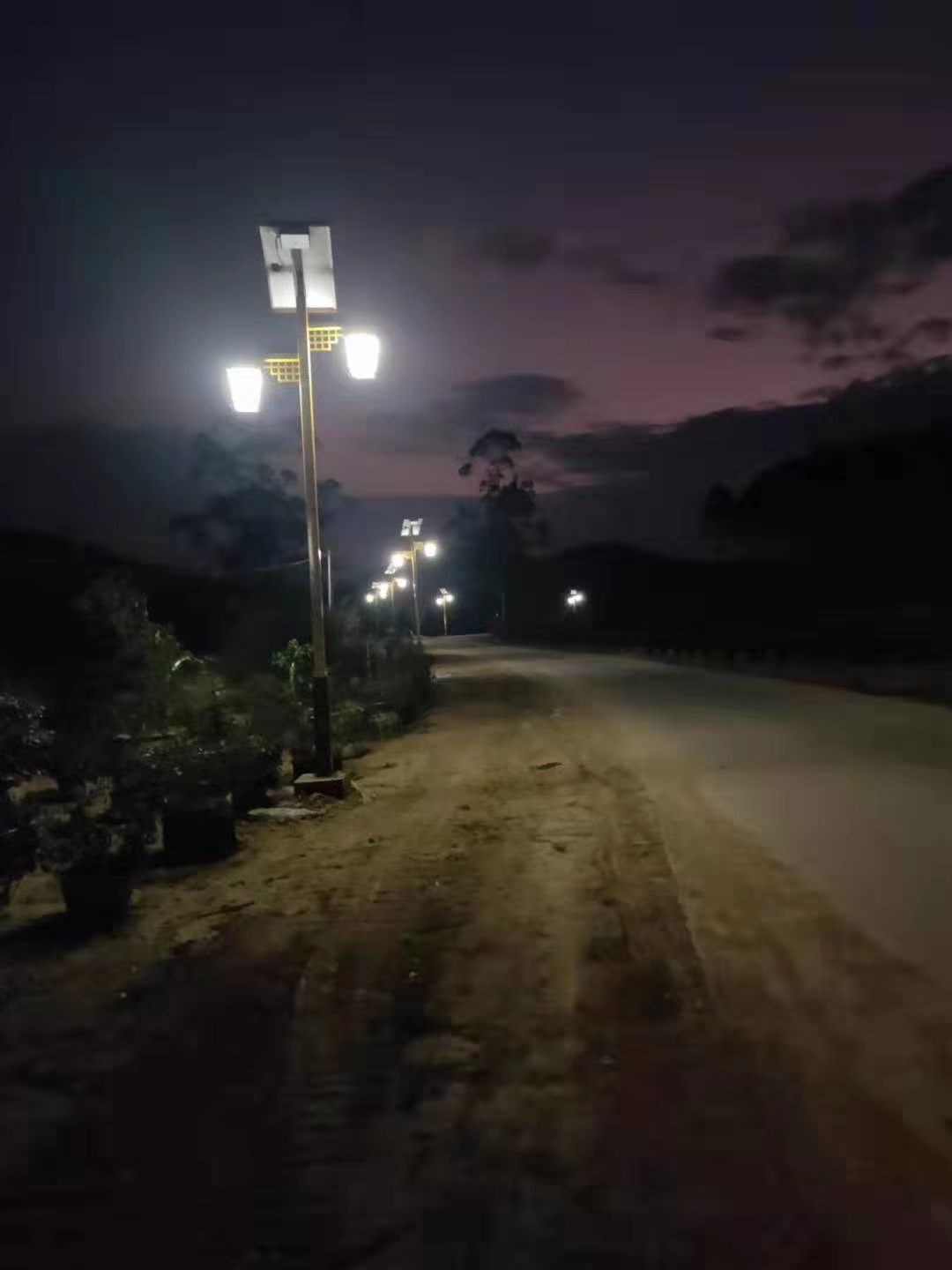 Double lamps solar landscape street light(图6)