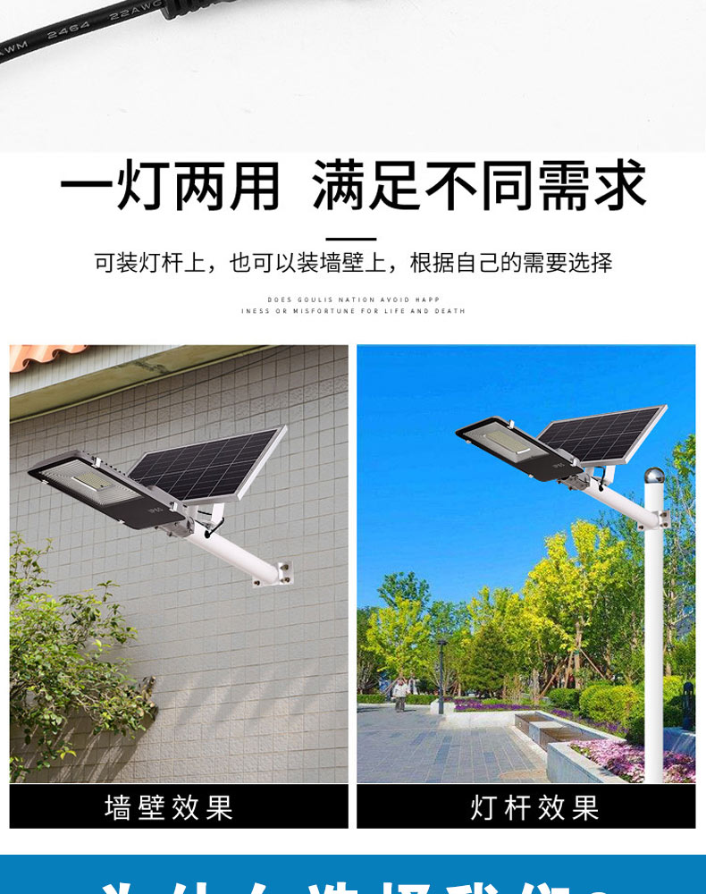 Solar Wall-mounted Light(图6)